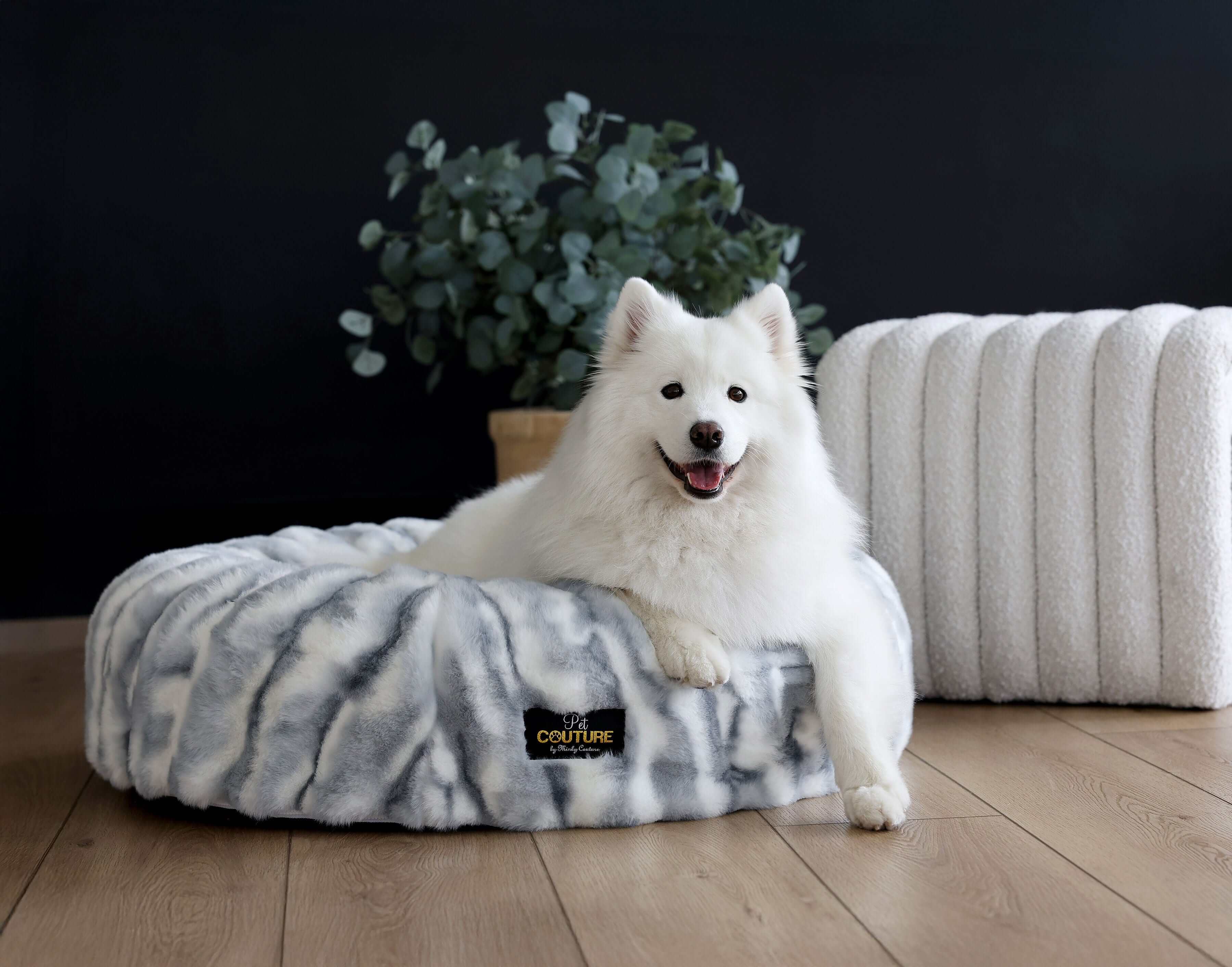 Pet Couture Sale
